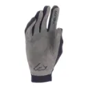 thumb.webp