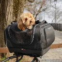 images - 2026-04-26T105144.033.webp