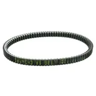 CORREA S41PLAT052 ATHENA