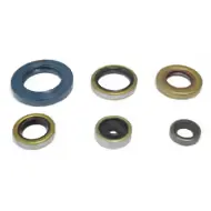 ESTOPERA KIT ACEITE MOTOR P400270400047 ATHENA