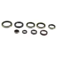 [P400270400009] ESTOPERA MOTOR KIT P400270400009 ATHENA